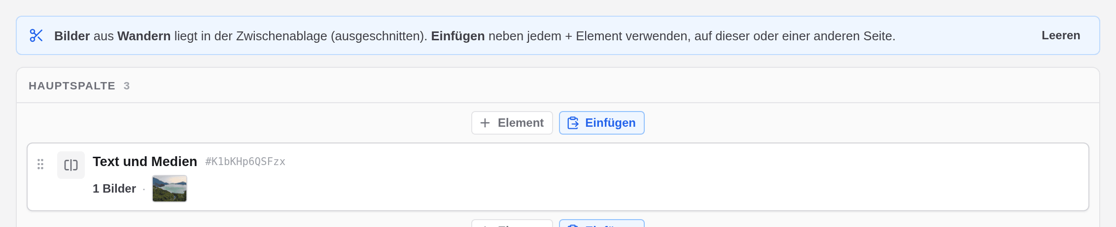 Ein blauer Balken meldet, dass Bilder aus Wandern in der Zwischenablage liegt, und neben + Element steht die Schaltfläche Einfügen