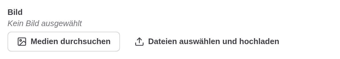 Ein leeres Bildfeld: Kein Bild ausgewählt, mit den Schaltflächen Medien durchsuchen und Dateien auswählen und hochladen