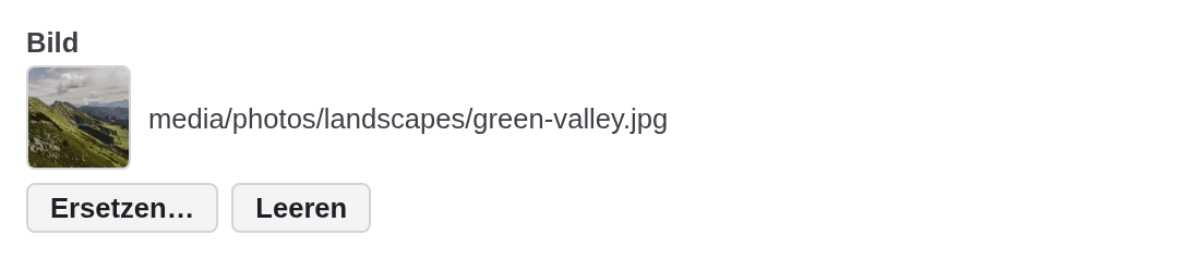 Ein Bildfeld mit dem Vorschaubild eines grünen Tals, dem Verweis media/photos/landscapes/green-valley.jpg und den Schaltflächen Ersetzen und Leeren