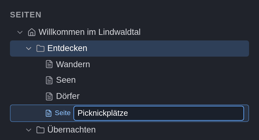 Eine neue Zeile im Seitenbaum unter Entdecken, beschriftet mit Seite, in die der Titel Picknickplätze eingetippt ist